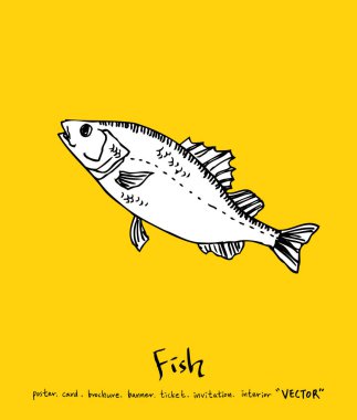 Deniz gıda menü çizimler / el çekilmiş gıda maddeleri - vektör