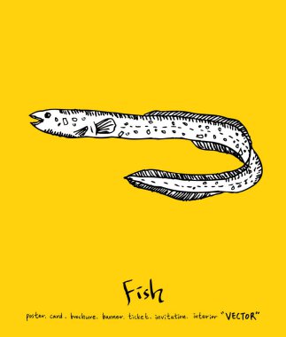 Deniz gıda menü çizimler / el çekilmiş gıda maddeleri - vektör