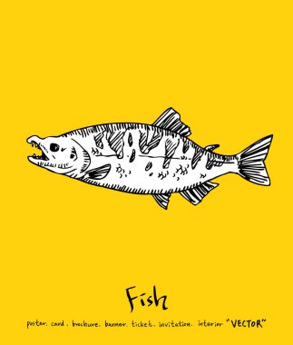 Deniz gıda menü çizimler / el çekilmiş gıda maddeleri - vektör