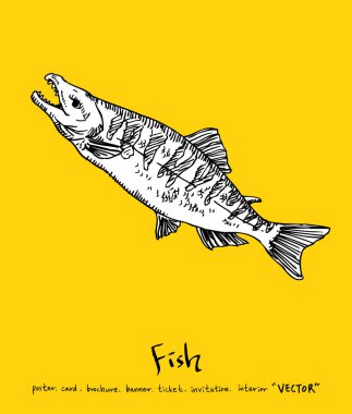 Deniz gıda menü çizimler / el çekilmiş gıda maddeleri - vektör