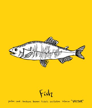 Deniz gıda menü çizimler / el çekilmiş gıda maddeleri - vektör