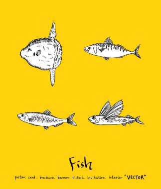 Deniz gıda menü çizimler / el çekilmiş gıda maddeleri - vektör