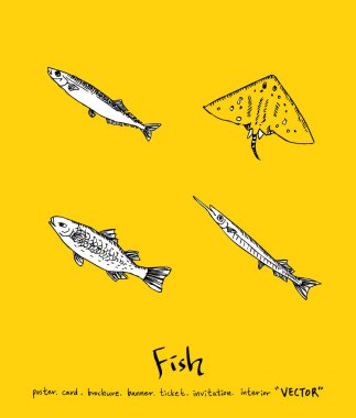 Deniz gıda menü çizimler / el çekilmiş gıda maddeleri - vektör