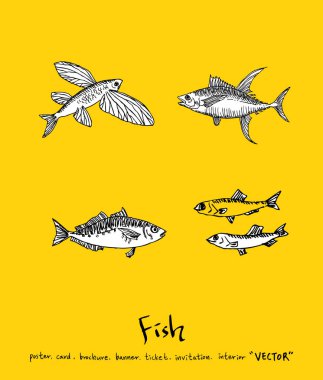 Deniz gıda menü çizimler / el çekilmiş gıda maddeleri - vektör