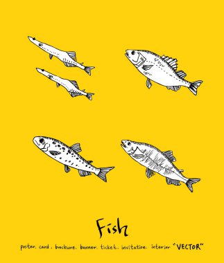 Deniz gıda menü çizimler / el çekilmiş gıda maddeleri - vektör