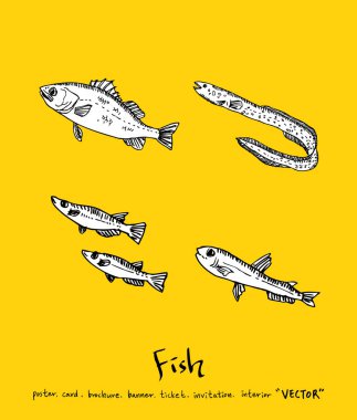 Deniz gıda menü çizimler / el çekilmiş gıda maddeleri - vektör