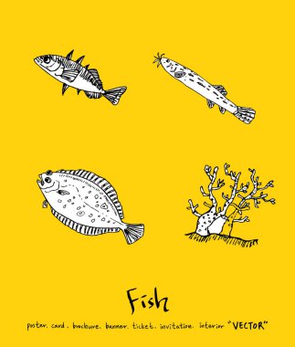 Deniz gıda menü çizimler / el çekilmiş gıda maddeleri - vektör