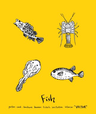 Deniz gıda menü çizimler / el çekilmiş gıda maddeleri - vektör
