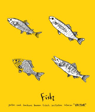 Deniz gıda menü çizimler / el çekilmiş gıda maddeleri - vektör