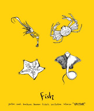 Deniz gıda menü çizimler / el çekilmiş gıda maddeleri - vektör