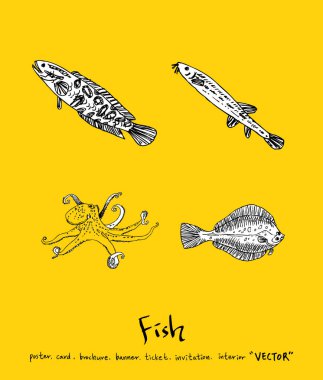 Deniz gıda menü çizimler / el çekilmiş gıda maddeleri - vektör