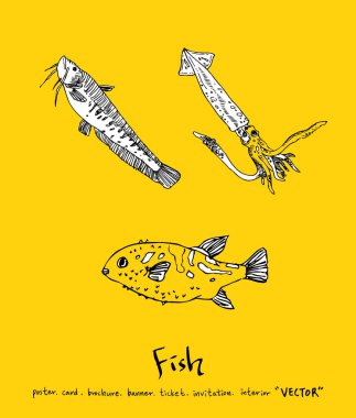 Deniz gıda menü çizimler / el çekilmiş gıda maddeleri - vektör