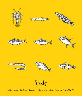 Deniz gıda menü çizimler / el çekilmiş gıda maddeleri - vektör