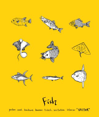 Deniz gıda menü çizimler / el çekilmiş gıda maddeleri - vektör