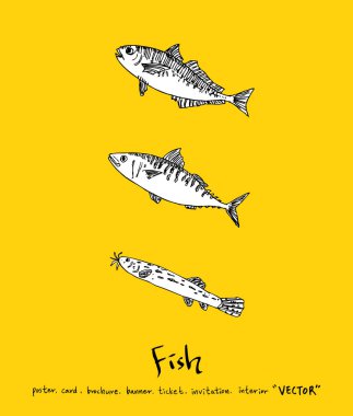 Deniz gıda menü çizimler / el çekilmiş gıda maddeleri - vektör