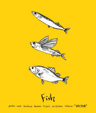 Deniz gıda menü çizimler / el çekilmiş gıda maddeleri - vektör