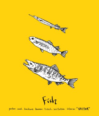 Deniz gıda menü çizimler / el çekilmiş gıda maddeleri - vektör