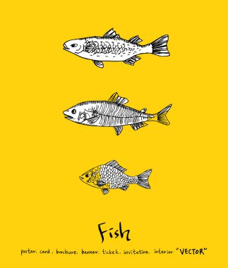 Deniz gıda menü çizimler / el çekilmiş gıda maddeleri - vektör