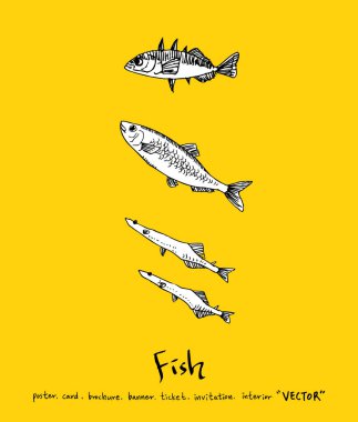 Deniz gıda menü çizimler / el çekilmiş gıda maddeleri - vektör