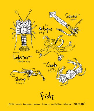 Deniz gıda menü çizimler / el çekilmiş gıda maddeleri - vektör
