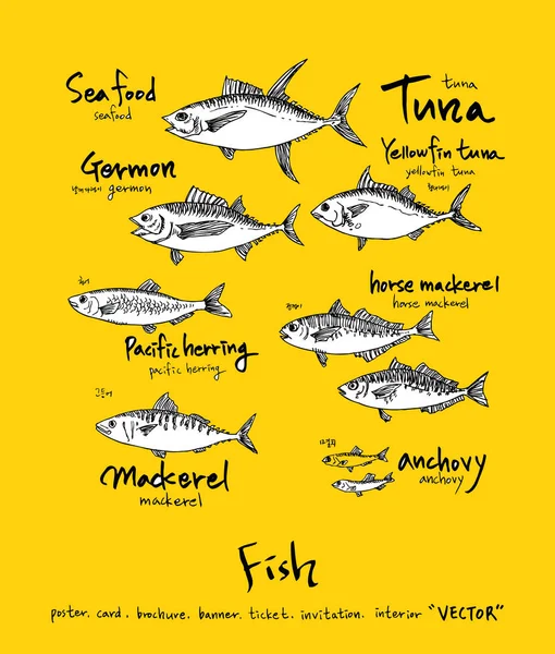 Sea Food Menu Illustrations Hand Drawn Food Ingredients Vector — Stock Vector