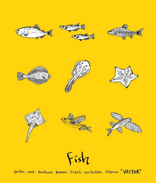 Sea Food Menu Ilustracje Ręcznie Rysowane Składników Żywności Wektor — Wektor stockowy