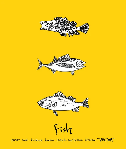 Deniz Gıda Menü Çizimler Çekilmiş Gıda Maddeleri Vektör — Stok Vektör