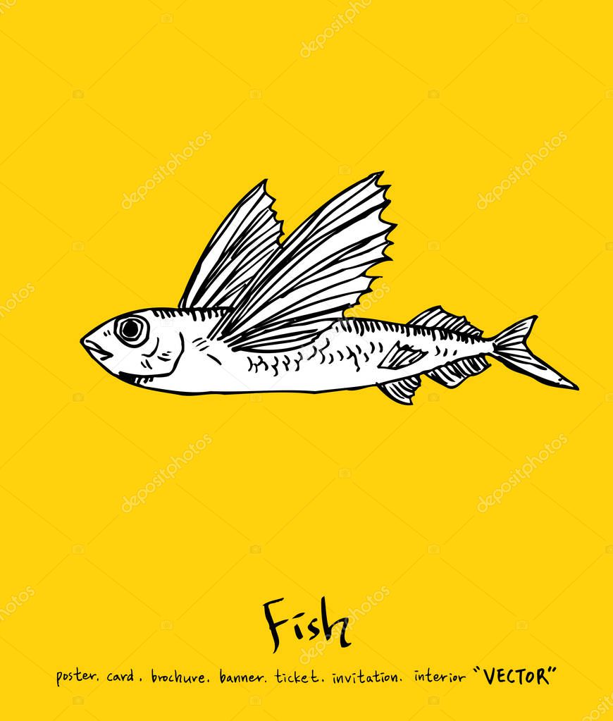 Sea food menu illustrations / Hand drawn food ingredients - vector