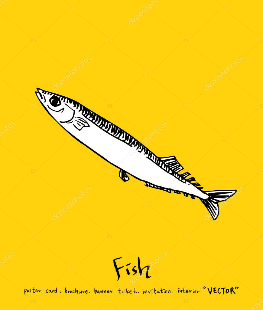 Sea food menu illustrations / Hand drawn food ingredients - vector