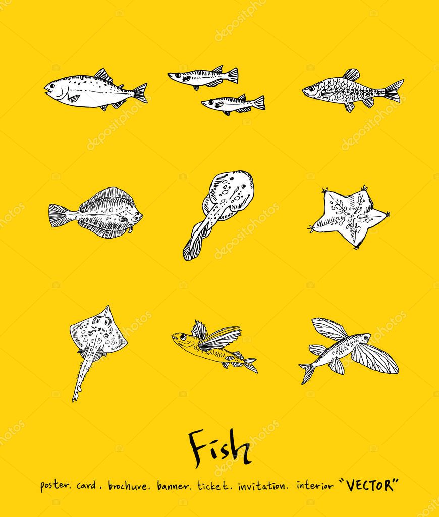 Sea food menu illustrations / Hand drawn food ingredients - vector