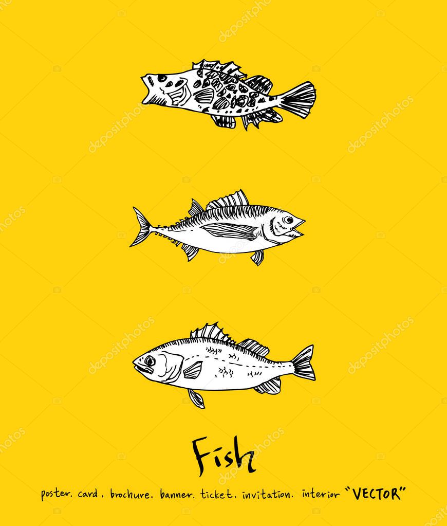 Sea food menu illustrations / Hand drawn food ingredients - vector
