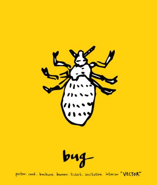 Bug sketch / Hand drawn insect illustration - vector clipart