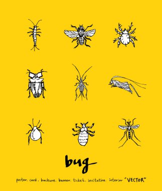 Kroki hata / çizilmiş böcek illüstrasyon el - vektör