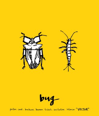 Kroki hata / çizilmiş böcek illüstrasyon el - vektör