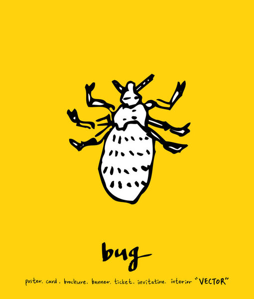 Bug sketch / Hand drawn insect illustration - vector