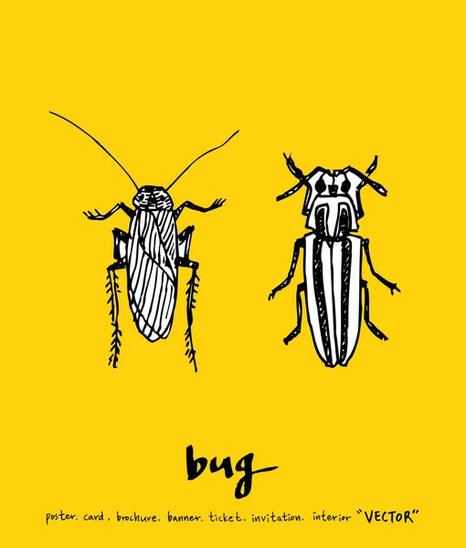 Bug Szkic Ilustracja Owadów Wektor — Wektor stockowy