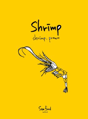 Deniz gıda menü çizimler / el çekilmiş gıda maddeleri - vektör