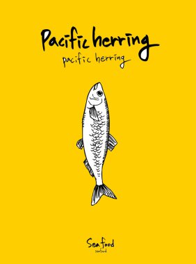 Deniz gıda menü çizimler / el çekilmiş gıda maddeleri - vektör