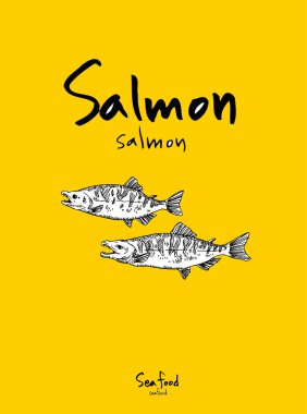 Deniz gıda menü çizimler / el çekilmiş gıda maddeleri - vektör