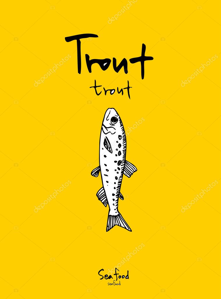Sea food menu illustrations / Hand drawn food ingredients - vector