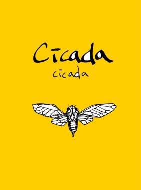 Resimde hata / çizilmiş böcek kroki el