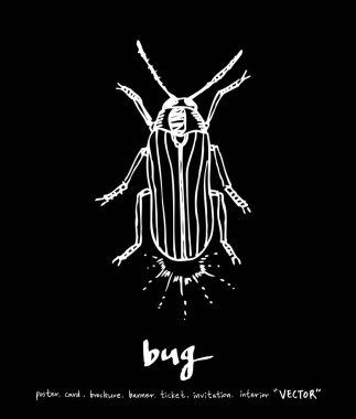 Resimde hata / çizilmiş böcek kroki el