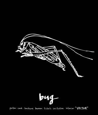 Resimde hata / çizilmiş böcek kroki el