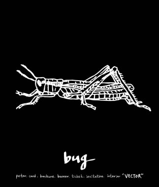 Resimde hata / çizilmiş böcek kroki el