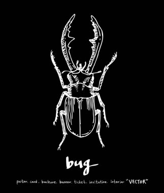 Resimde hata / çizilmiş böcek kroki el