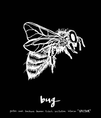 Resimde hata / çizilmiş böcek kroki el