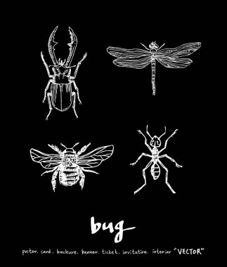 Resimde hata / çizilmiş böcek kroki el