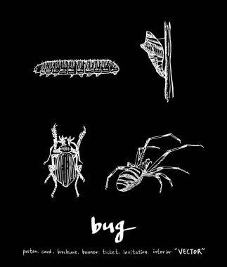 Resimde hata / çizilmiş böcek kroki el