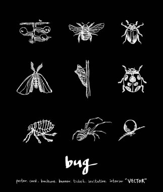 Resimde hata / çizilmiş böcek kroki el