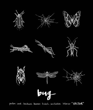 Resimde hata / çizilmiş böcek kroki el